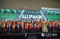 人平易近网股份有限公司版权所