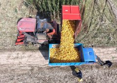 架着尺度化钢架布局